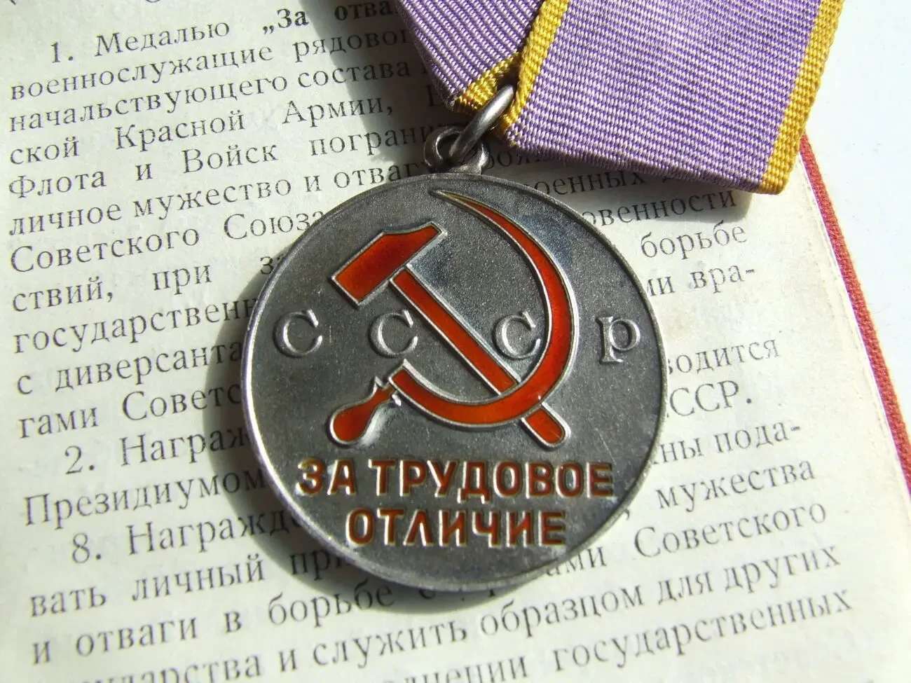 Медаль трудовое отличие награждения 1981 гг. на Фалько Н. И. 8