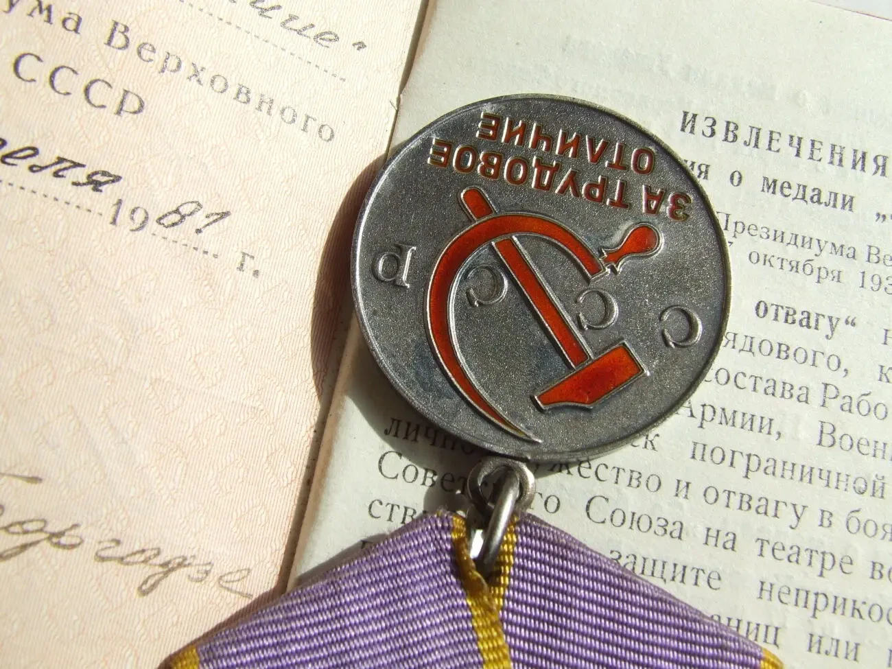 Медаль трудовое отличие награждения 1981 гг. на Фалько Н. И. 6