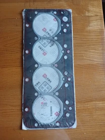 Прокладка ГБЦ Iveco Lema 10125.00