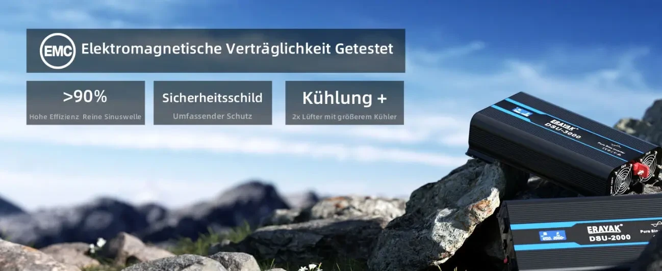 Перетворювач напруги інвертор ERAYAK DSU-2000 (2000/4000W, 12-220V) 3