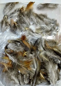 Перо фазана длинное в вазу, панно, на декор, 4 штуки набор