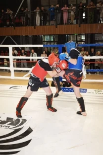 Переклад тексту