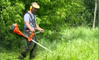 Косіння трави, рубання та різання дров, роботи по демонтажу і тд.