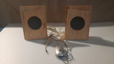 Усилитель класс D с широкополосной акустикой