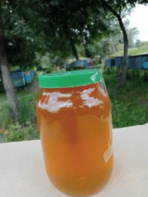 продам квітковий мед