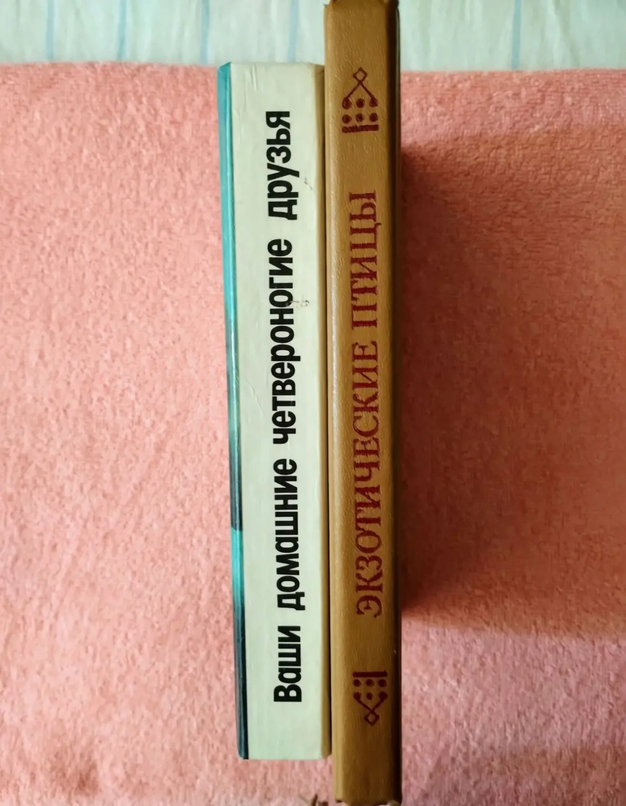 Лукина,Экзотические птицы в нашем доме 4