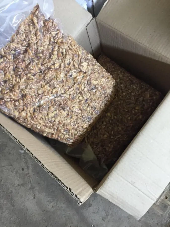 Продам бізнес по переробці волоського горіху 4