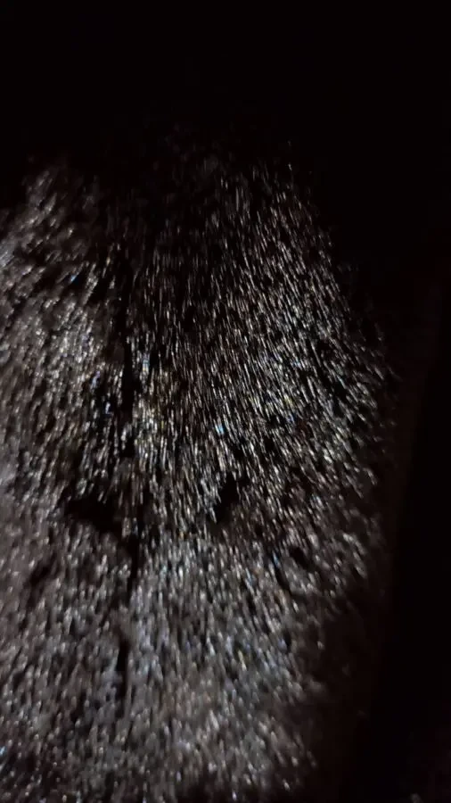 Продам норковую шубу 4