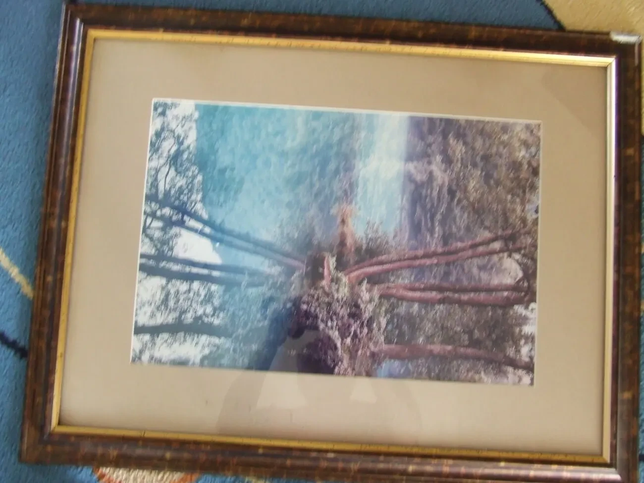 Репродукция в раме под стеклом раз. 60 х 45 см. 2000 гг. 5