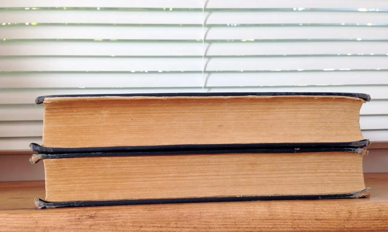 Большой немецко-русский словарь в 2-х томах 8