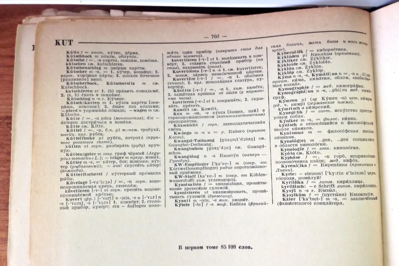 Большой немецко-русский словарь в 2-х томах 5