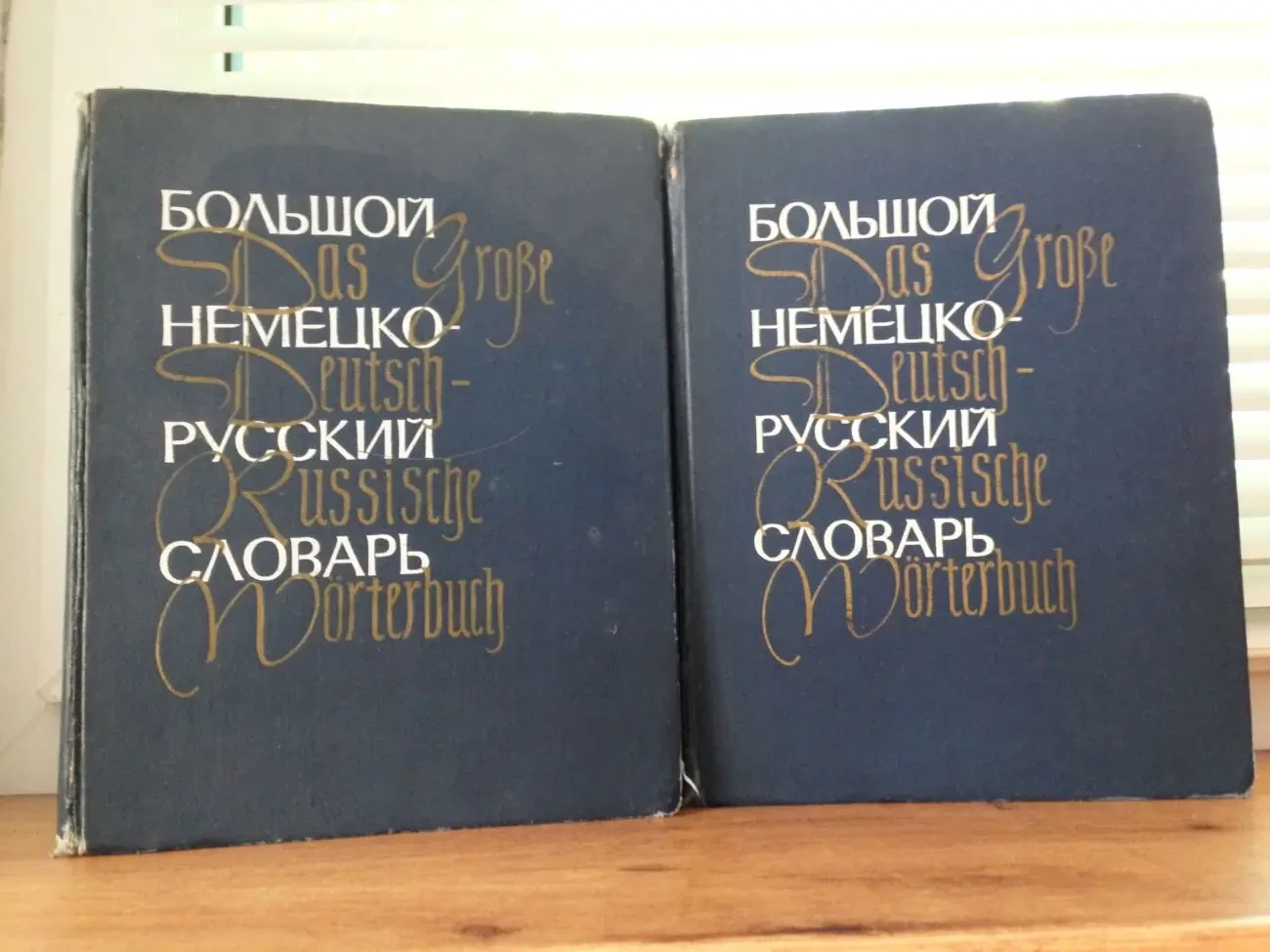 Большой немецко-русский словарь в 2-х томах