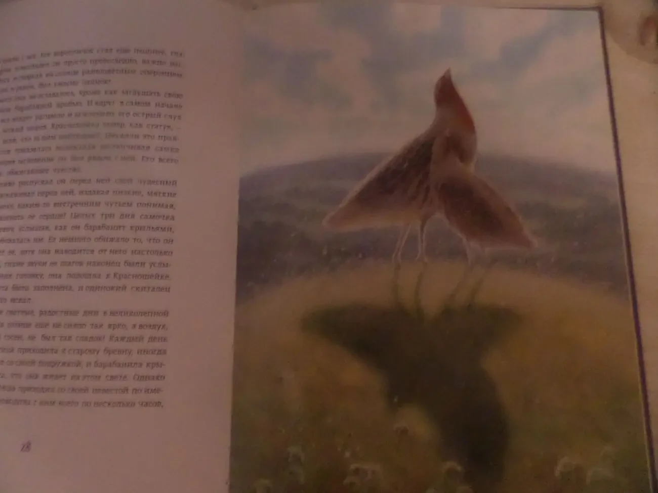 Эрнест Сетон-Томпсон Красношейка 5