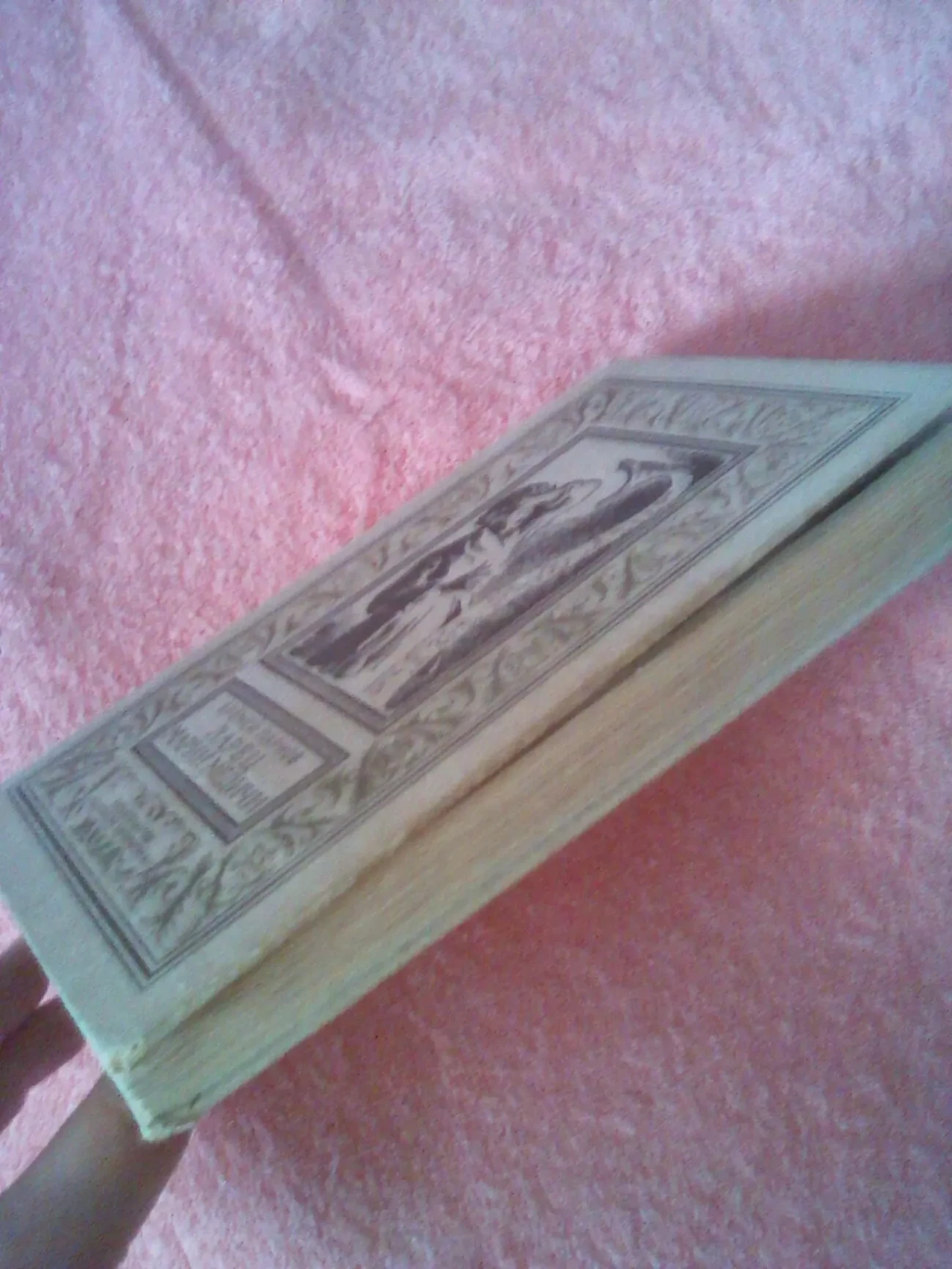 Еремей Парнов, Ларец Марии Медичи, БПНФ,1972 год,рамка 3