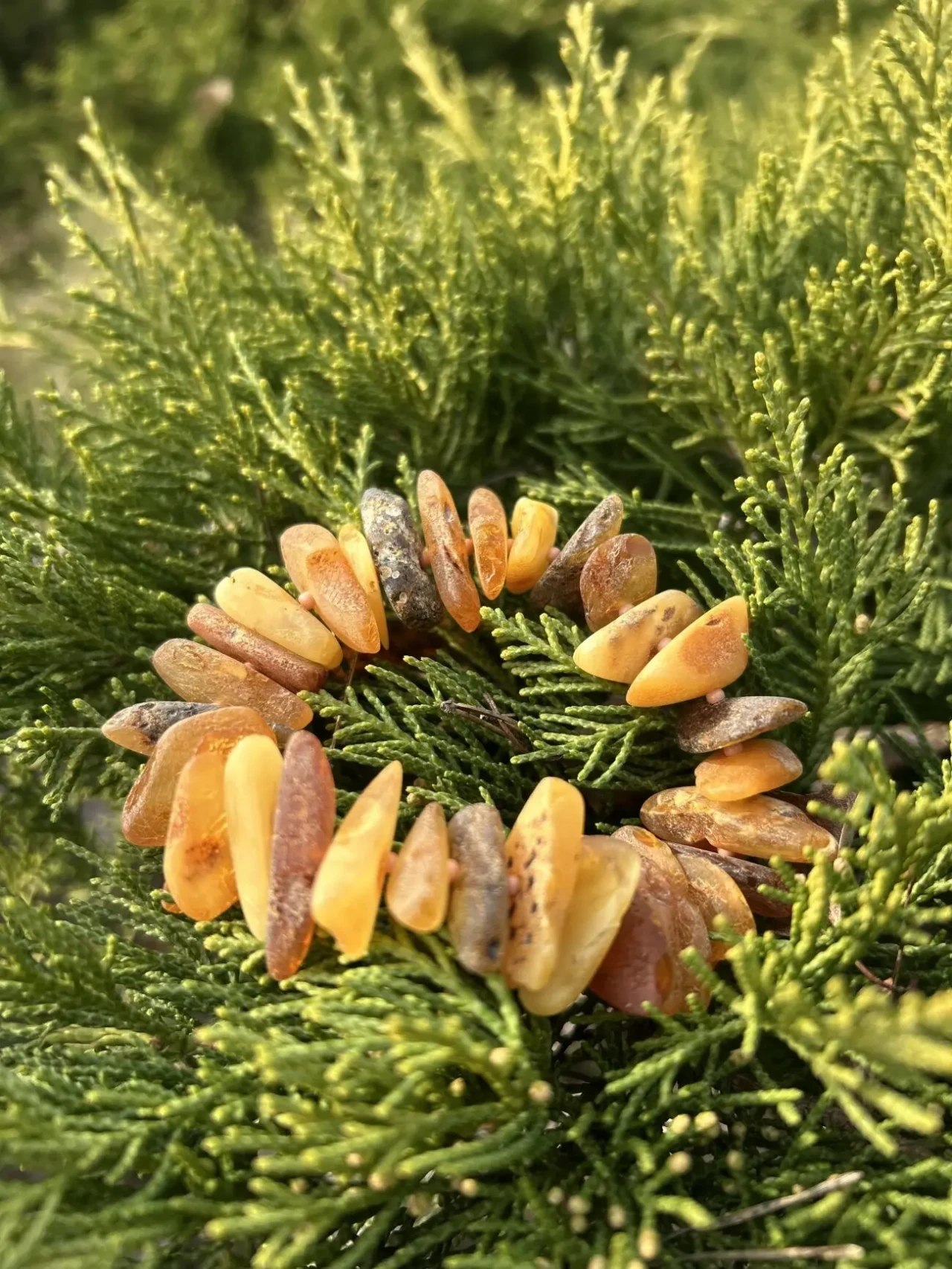 Бурштиновий браслет 2