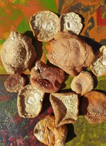 Мухомор червоний сушений