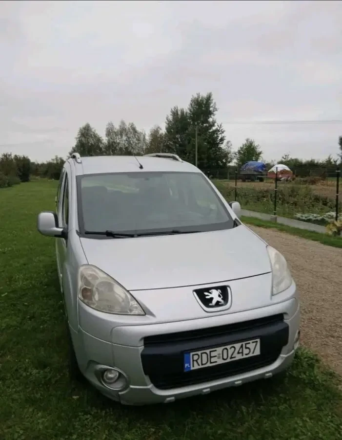 Peugeot Parther Diesel 4