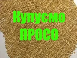 Купуємо Просо
