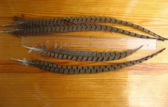 Перо фазана коричевое длинное хвостовое нарядное на декор ваз 4 штуки