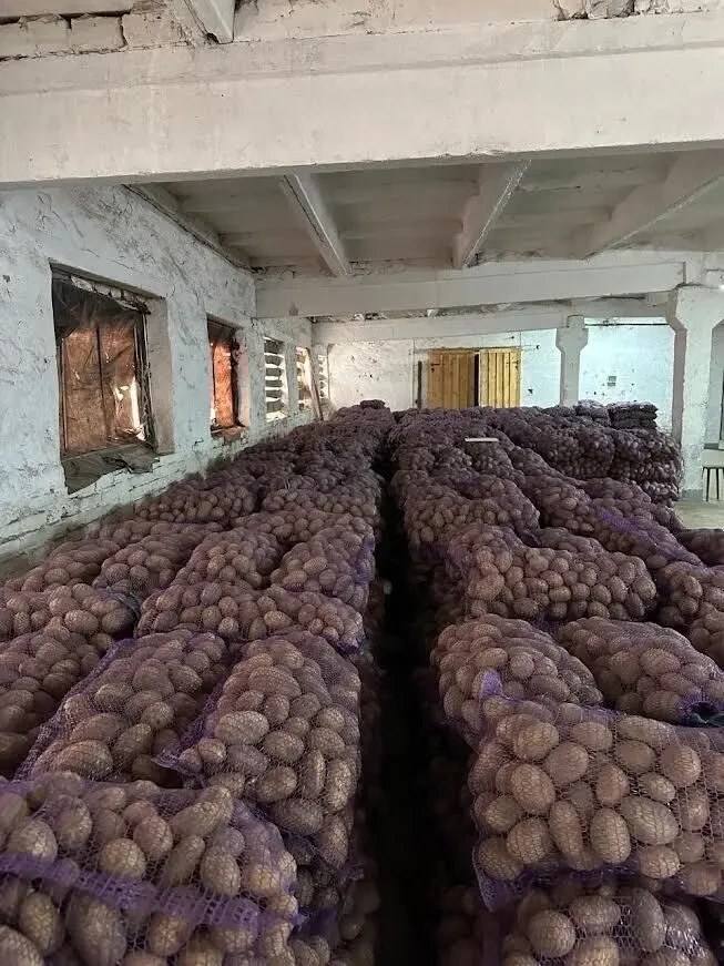 Фермерська картопля