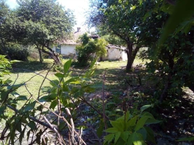 Продам земельну ділянку, з старим домом.