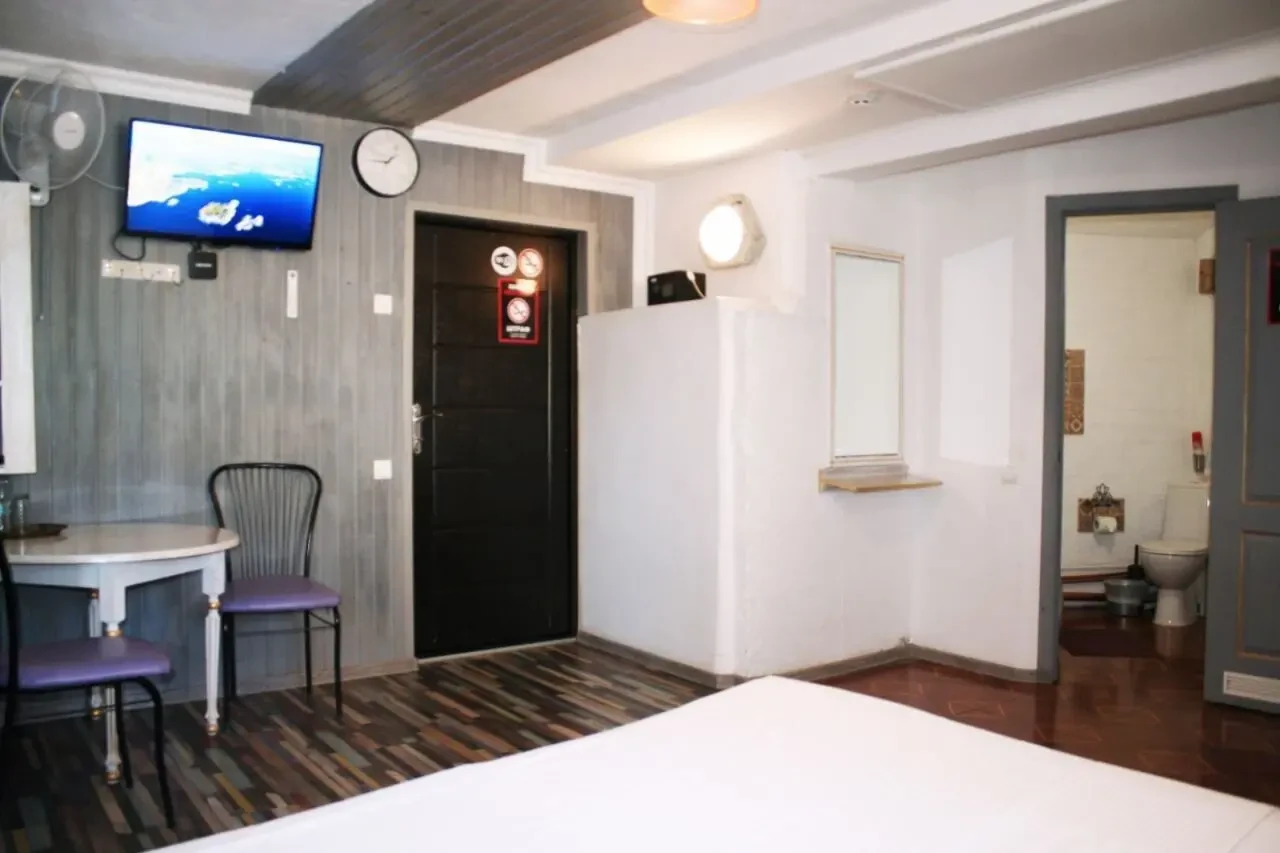 Просторий світлий номер, в укритті 9