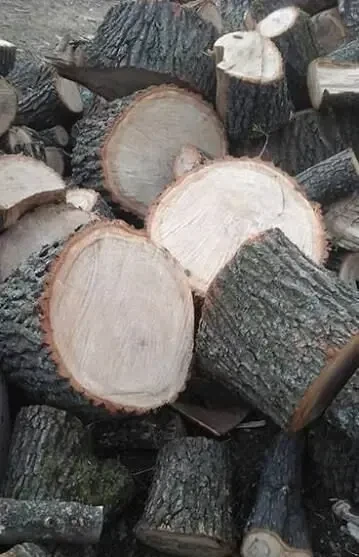 Продаються колоті дрова 3