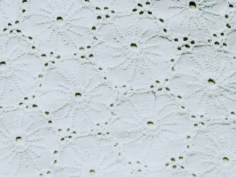 Детская  блуза отделка ткань прошва хлопок белый с вышивкой Индия 4к. 3