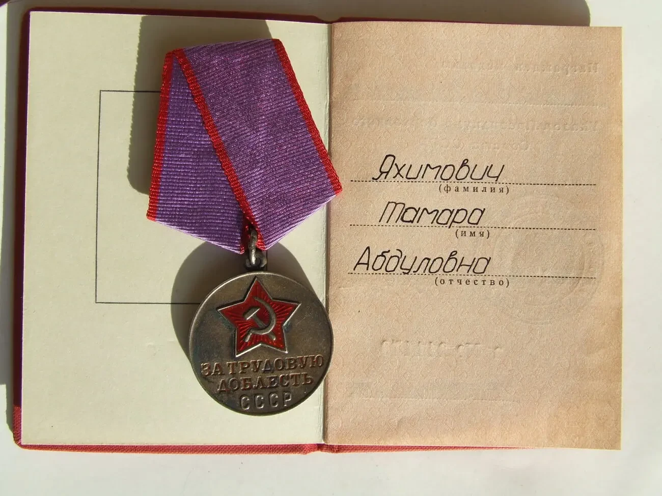 Медаль ТД  доки нагр. 1976 года на Яхимович Тамара . Люкс