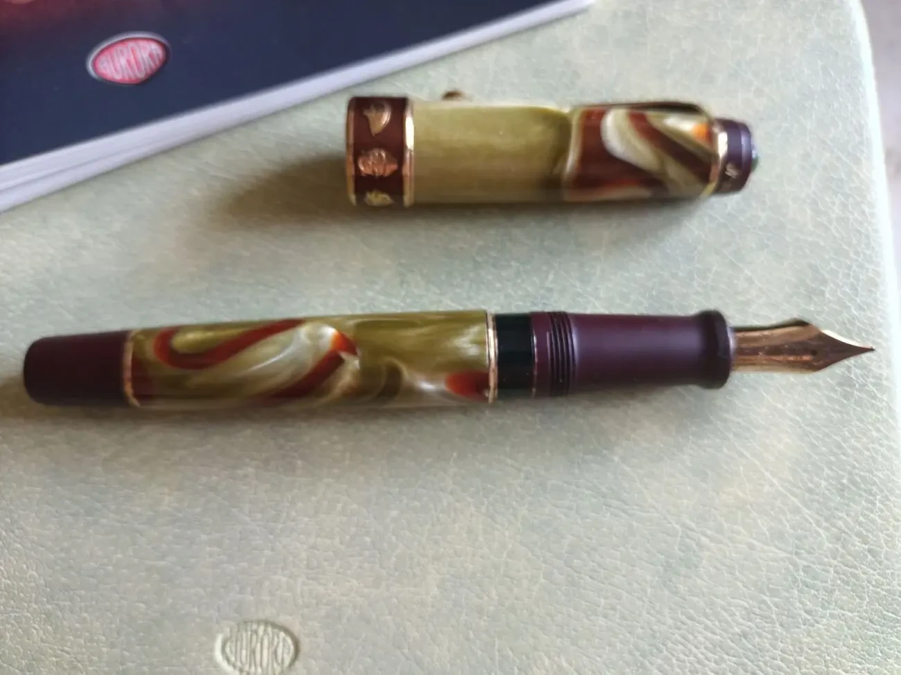 Перьевая ручка Aurora 9