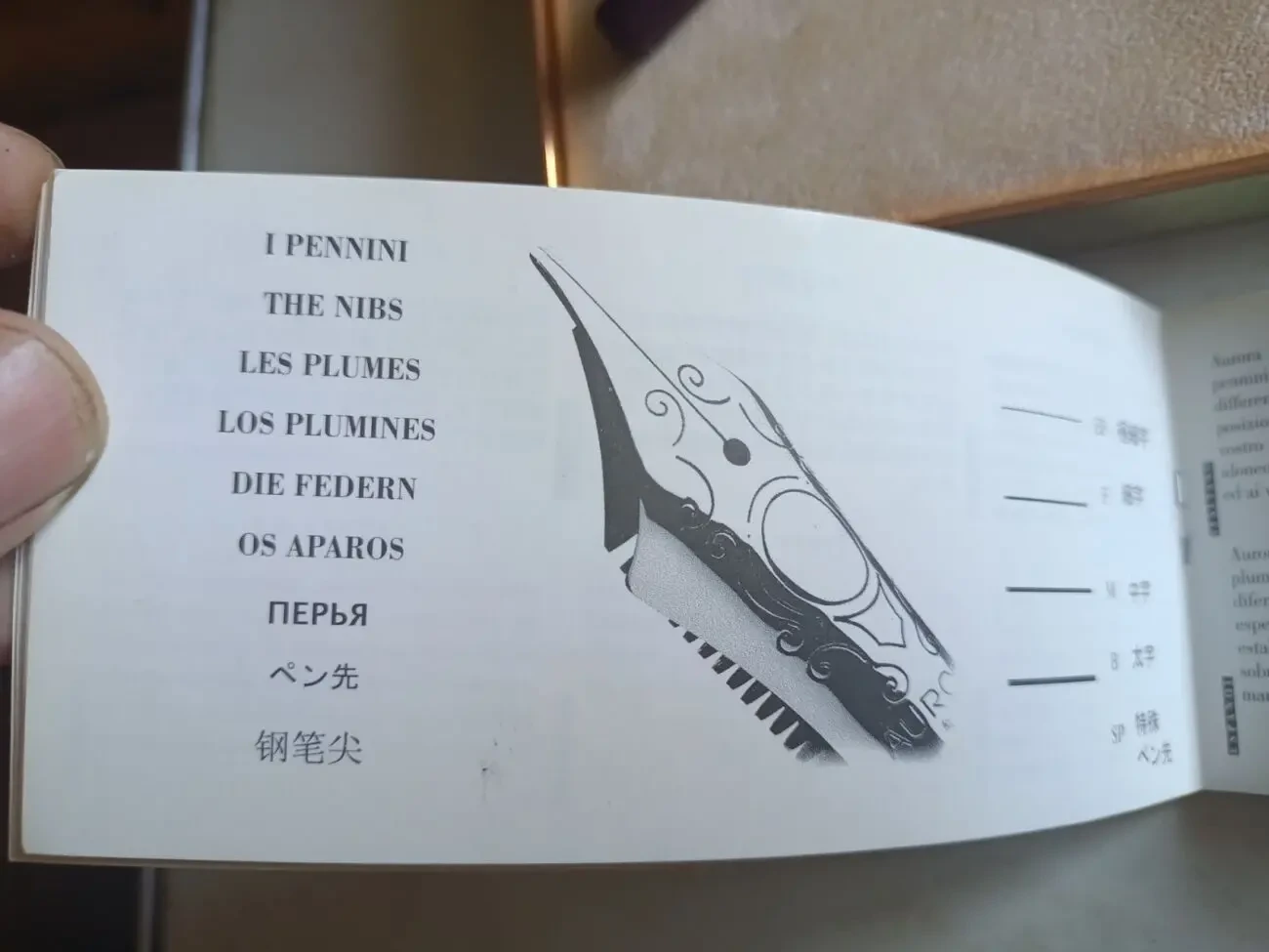 Перьевая ручка Aurora 6