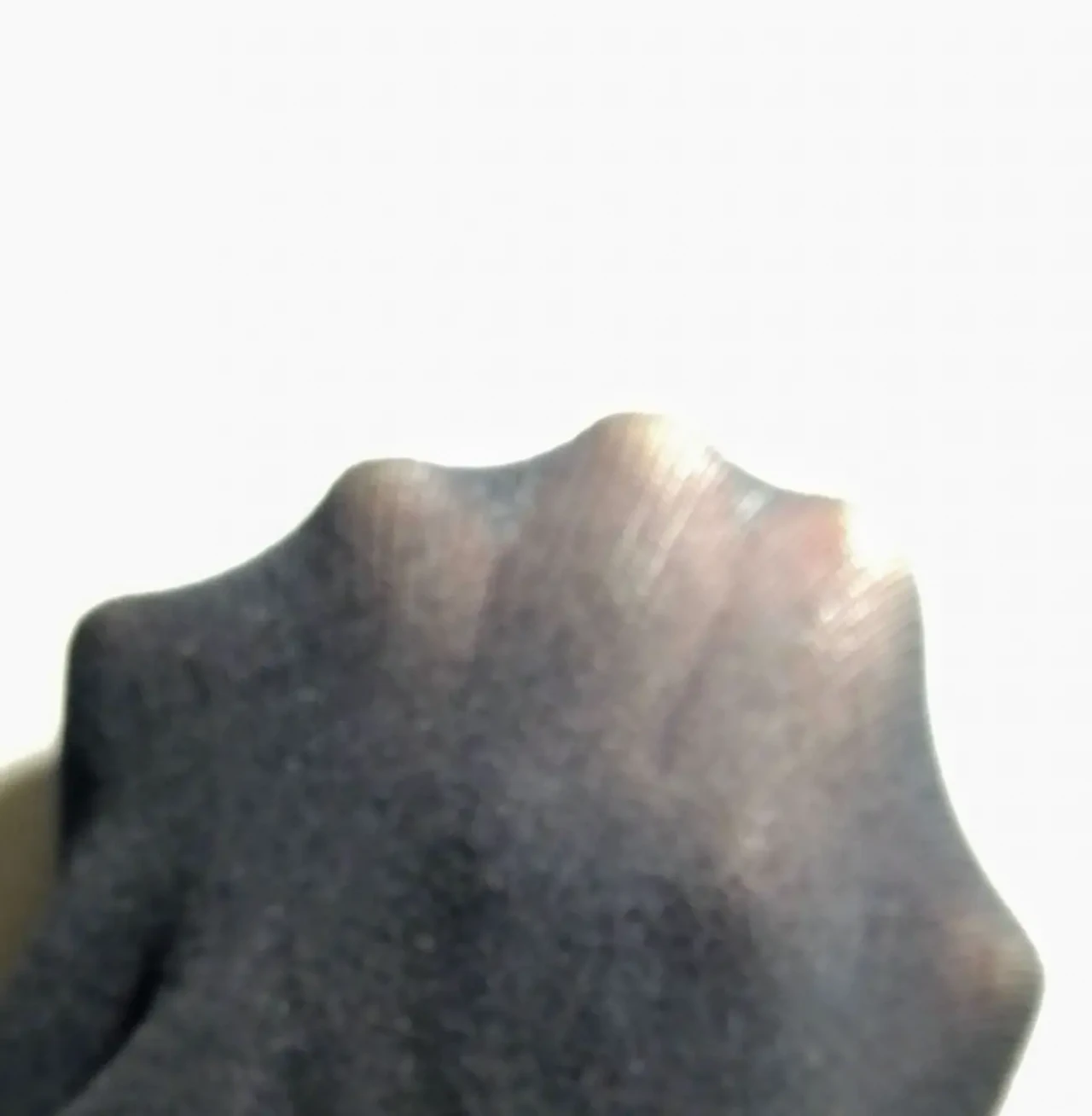 Колготки черные 50 ден 2 3 размер иксС и на девочку подростка, глянец 2