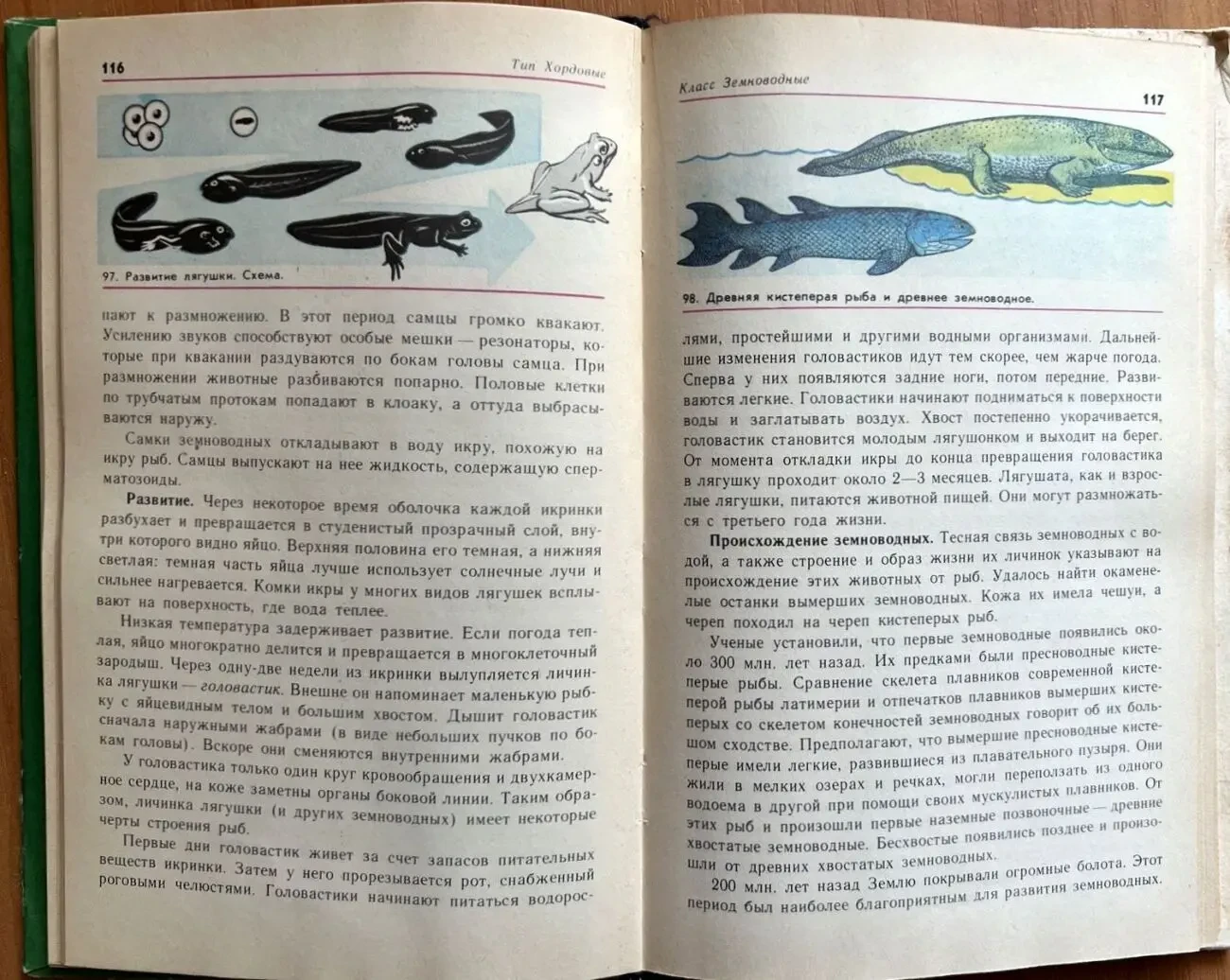 Зоология 6-7 класс 1981 г. 5