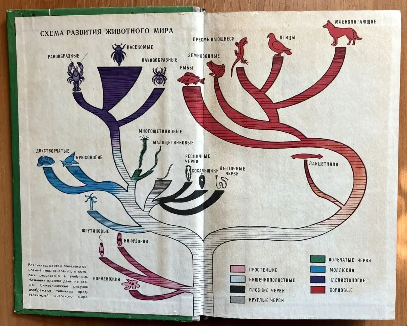 Зоология 6-7 класс 1981 г. 3