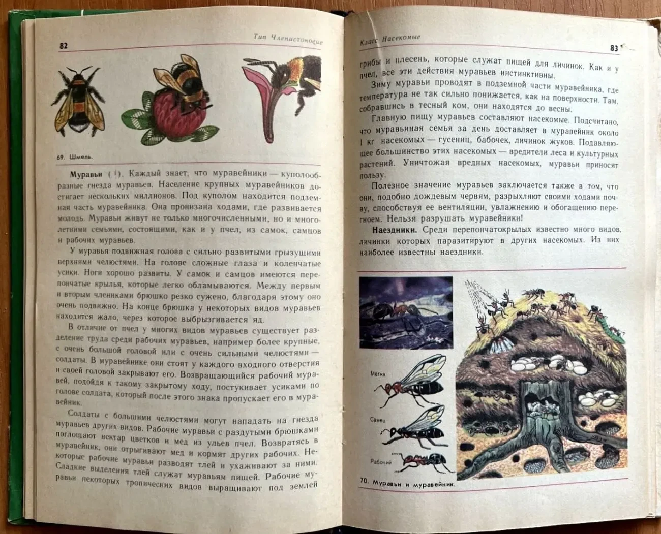 Зоология 6-7 класс 1981 г. 6