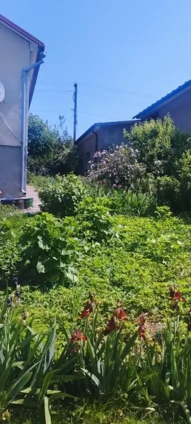 Продаю будинок 2