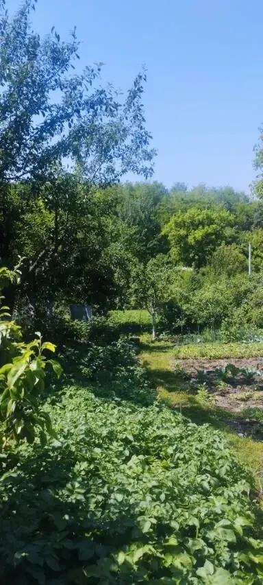 Продаю будинок 4