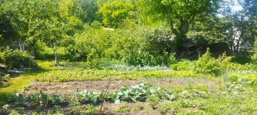 Продаю будинок 3