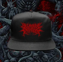 Кепка з прямим козирком снеп Neurologic Pathology