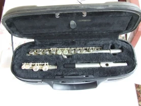 Флейта СТАГГ-77 ФР в рідному кофрі.