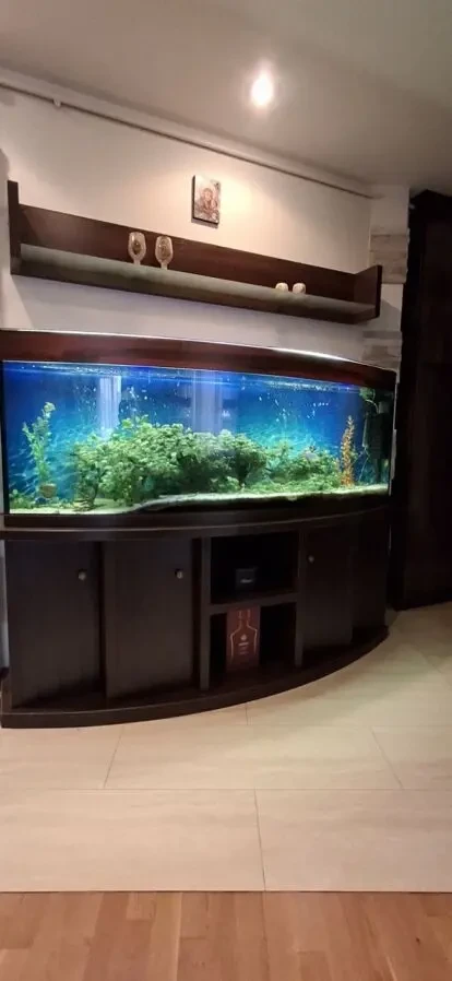 Акваріум панорамний 500л з тумбою