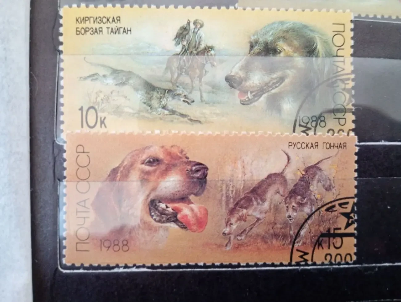 Марки - охотничьи собаки. Почта СССР 1988 год. 4