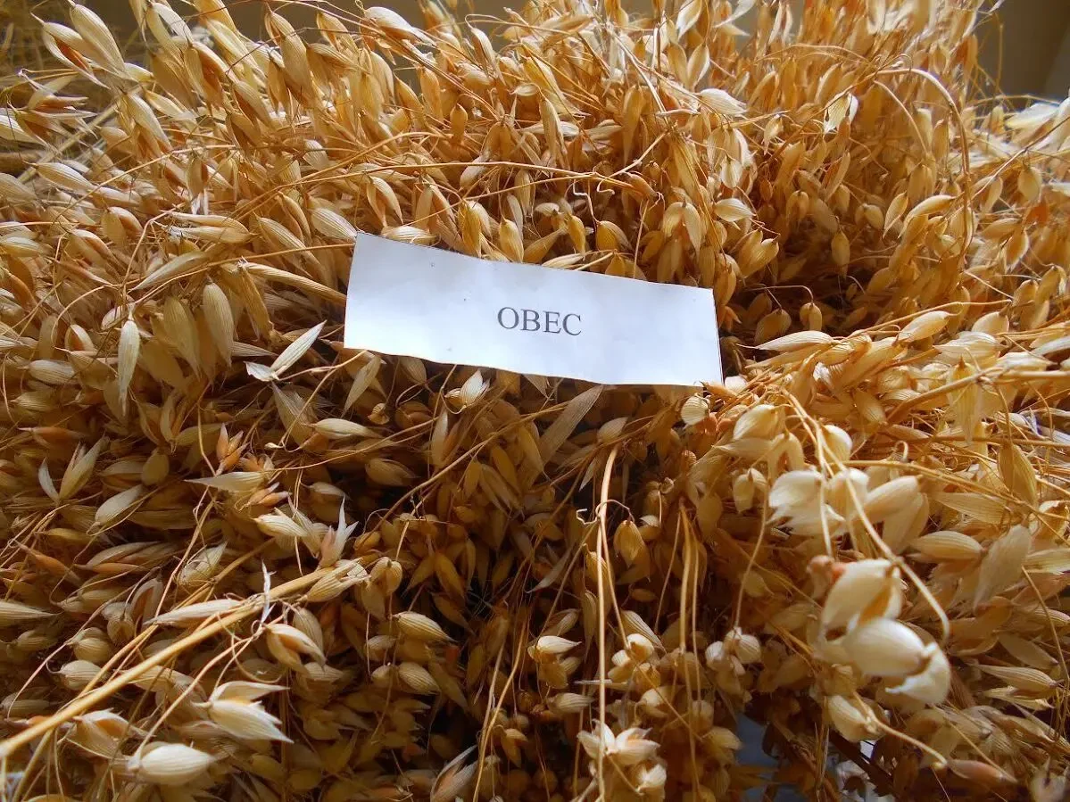 вівсяне борошно оптом