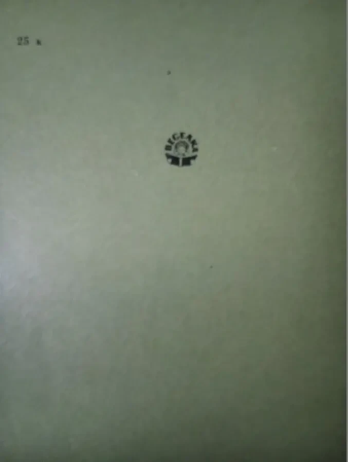 Курт Давід - Музикант із Гіммельпфортгрунда. 8