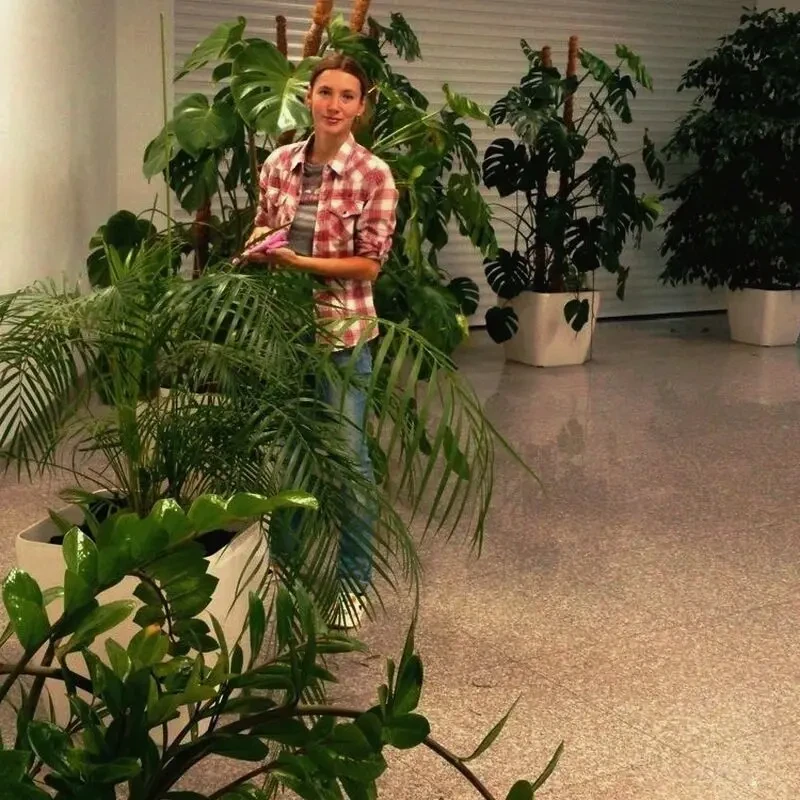 Догляд за рослинами в офісі, ресторані / Уход за цветами в офисе 3