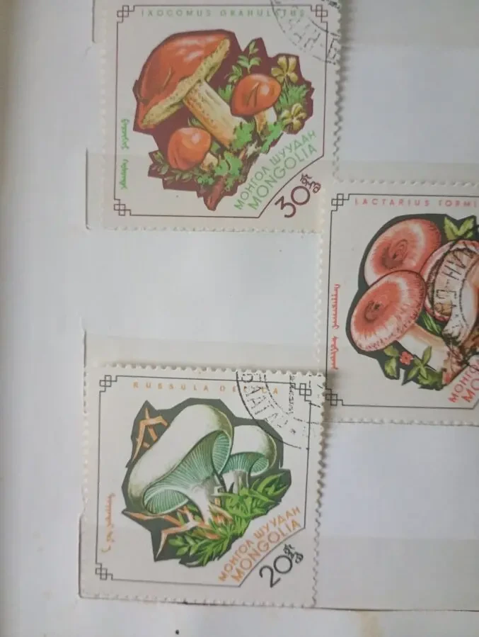 Марки - грибы. Монголия 1964 год. 2