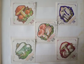 Марки - грибы. Монголия 1964 год.