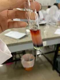 Репетитор з хімії та математики 6-9 класи