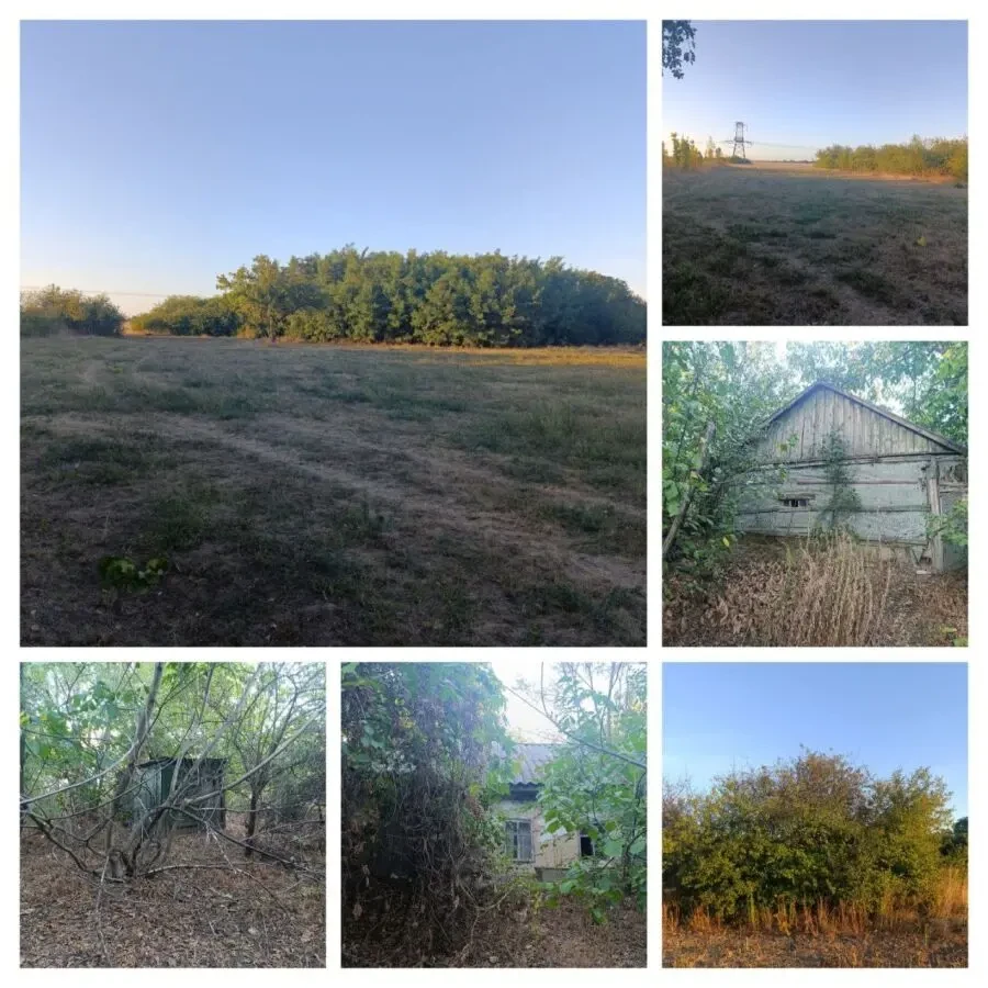 Земельна ділянка 60 соток, Мачухи - під забудову та ОСГ 2