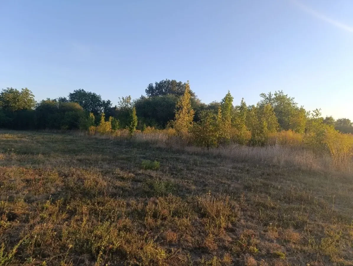 Земельна ділянка 60 соток, Мачухи - під забудову та ОСГ 8